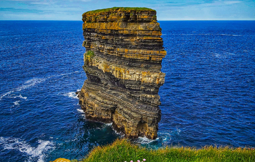 mayo
