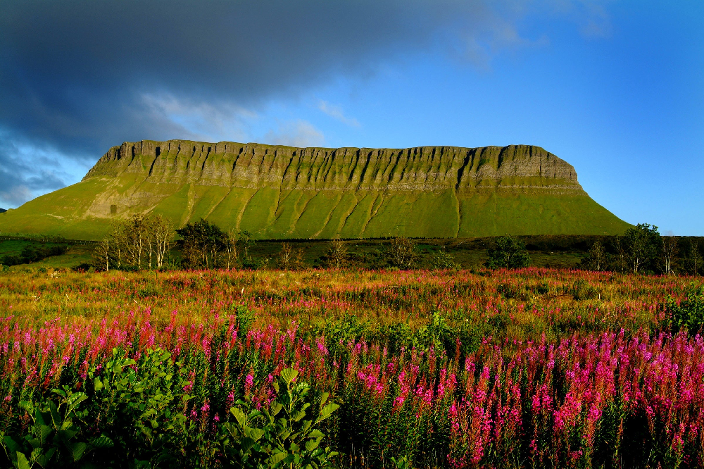 sligo